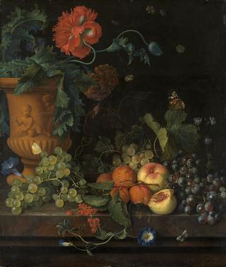 红陶花瓶鲜花和水果
