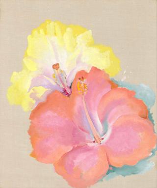 Untitled (Hibiscus)