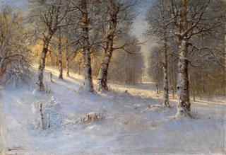 Winter Forest
