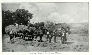 Loading Hay