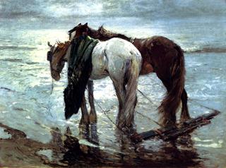 Fishermen's Horses