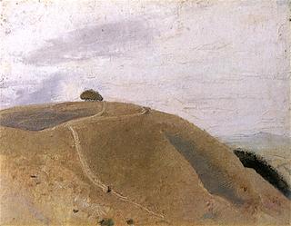 Wiltshire Downs near the Dorset Border