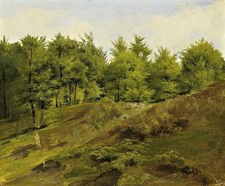 Wooded Landscape