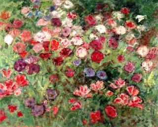 Large Bed of Flowers