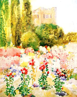 Flowering Field, Ithaca, New York