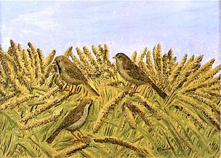 Three Sparrows in the Wheat