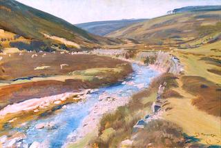 View of Exmoor with Stream