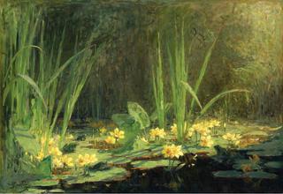 The Pool with Frogs