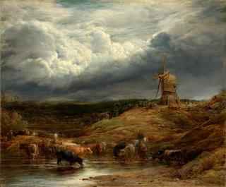 Landscape