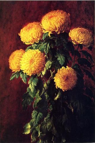 Chrysanthemums