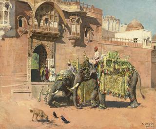 Elephants of the Rajah of Jodhpore