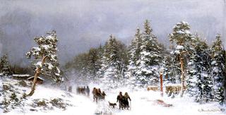 A Wintery Walk