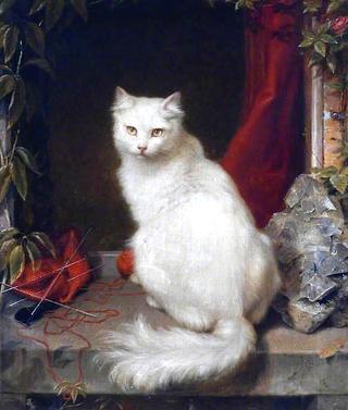 White Cat