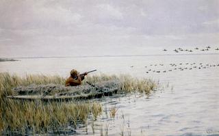 Duck Shooting from a Blind