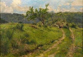Summer Landscape