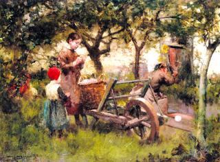 In the Orchard