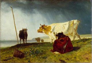 暴风雨天气下的牛