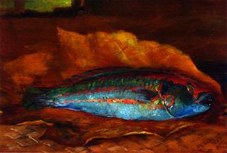 Study of the Parrot Fish