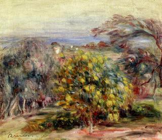 Landscape at Collettes