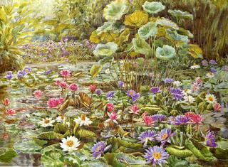 Water Garden