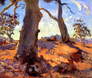 Gum Tree in Landscape, Woodside