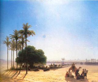 Caravan in oasis, Egypt