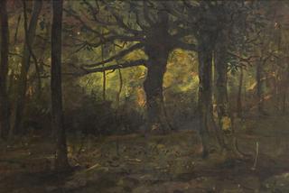 Untitled - Wooded Landscape