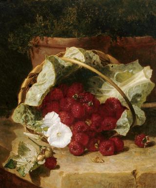 Raspberries in a Cabbage Leaf Lined Basket with White Convulus on a Stone Ledge