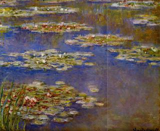 Water-Lilies