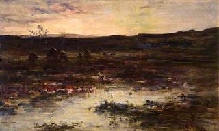 Peat Hags on the Moor