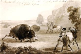 Hunters Escaping from a Wounded Buffalo, While He Tears Their Clothes to Pieces
