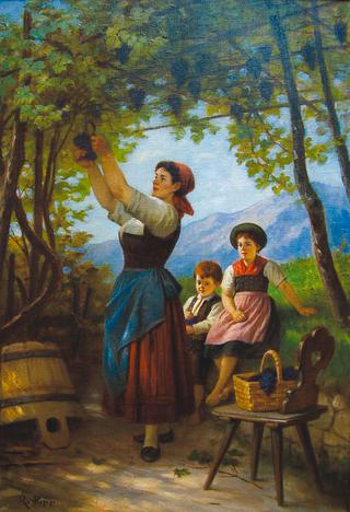 Picking Grapes