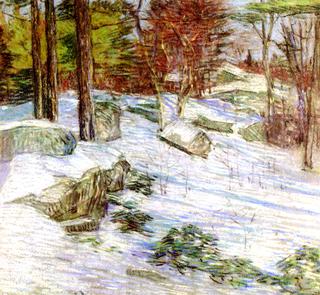 Snowy Landscape