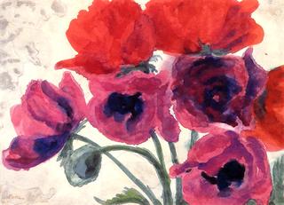 Oriental Poppies