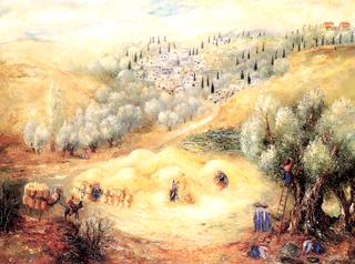 Harvest Time in Nazreth