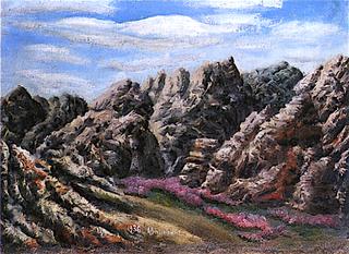 Mountain Landscape with Carpet of Pink Flowers