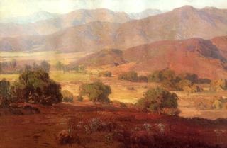 Foothill Landscape