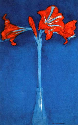 Amaryllis om Blue Background