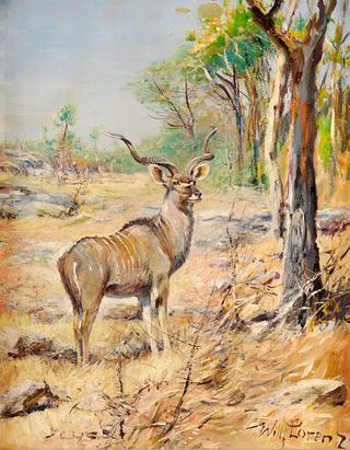 Antelope