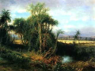 Cuban Landscape