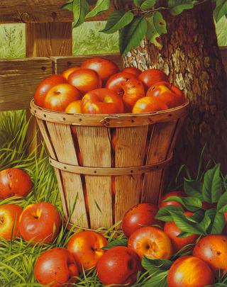 Apples in a Basket