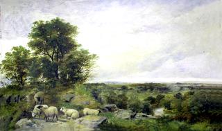 Landschap Pastoral