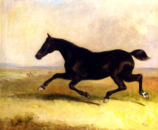 The Runaway Horse