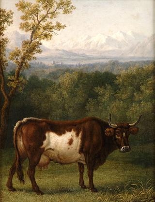 A Cow out to Pasture, an Alpine Landscape Beyond