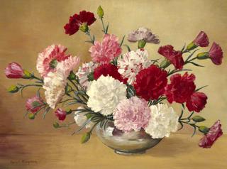 Carnations