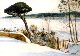 Landscape, Poëlan, Moors and Pines in the Snow