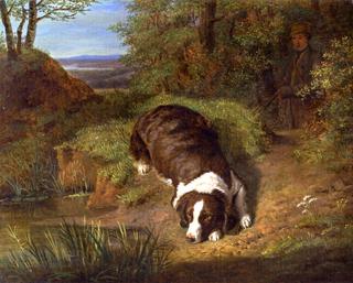 Count Esterházy's Hunting Dog, Lying by the Stream