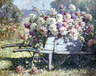 Summer Flowers