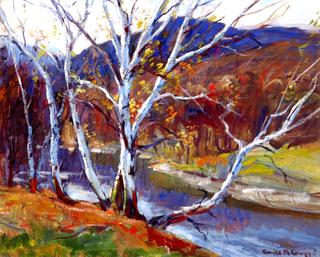 Birches along the River, Jeffersonville, Vermont