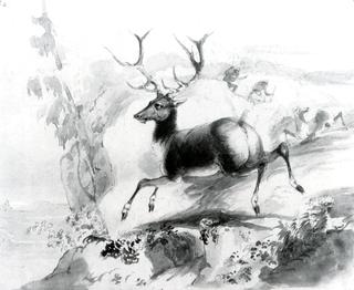 Death of the Elk